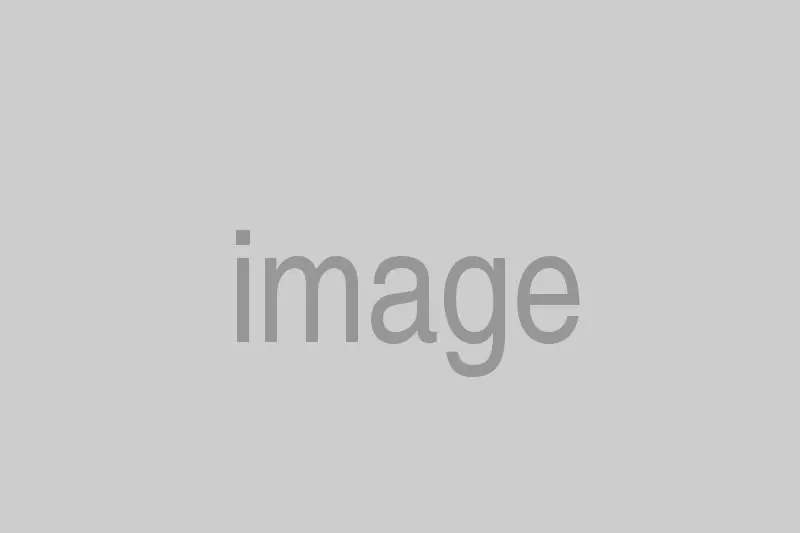 Gray placeholder image with centered 'image' text